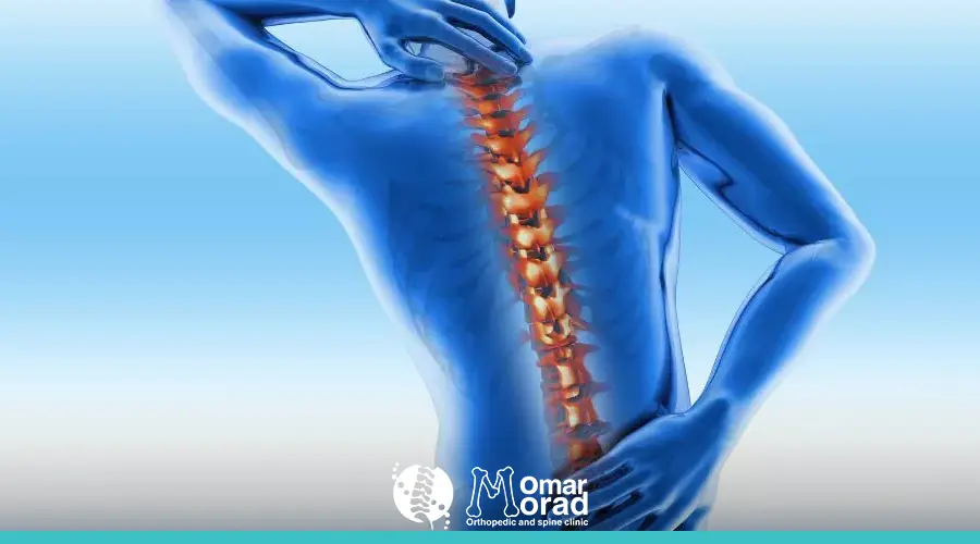 أنواع فقرات العمود الفقري